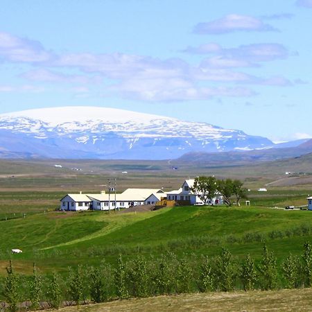Guesthouse Steindorsstadir, West Iceland ريخولت المظهر الخارجي الصورة