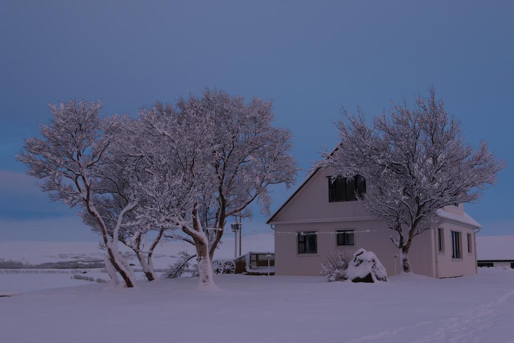 Guesthouse Steindorsstadir, West Iceland ريخولت المظهر الخارجي الصورة