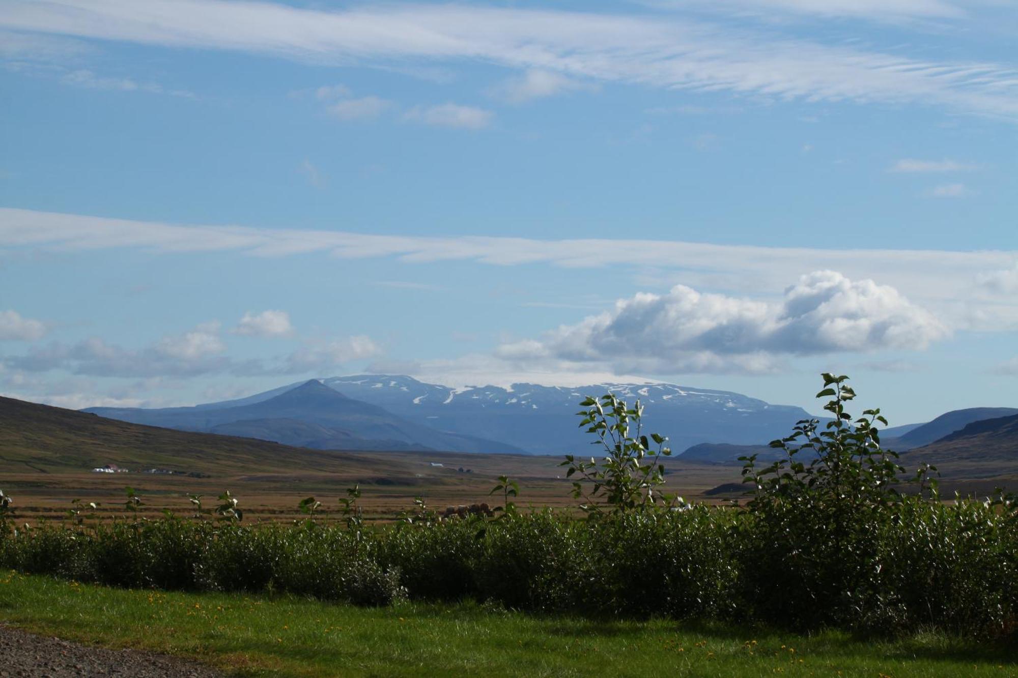 Guesthouse Steindorsstadir, West Iceland ريخولت المظهر الخارجي الصورة