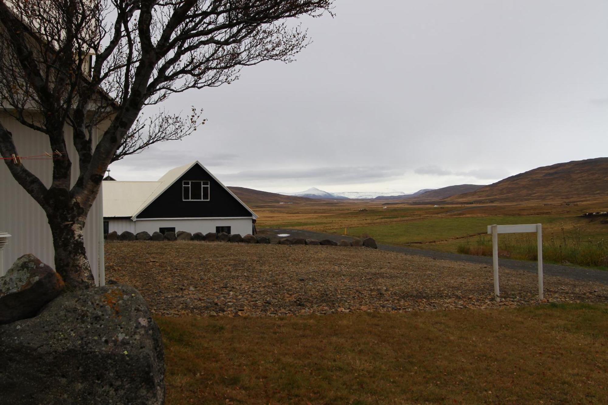 Guesthouse Steindorsstadir, West Iceland ريخولت المظهر الخارجي الصورة