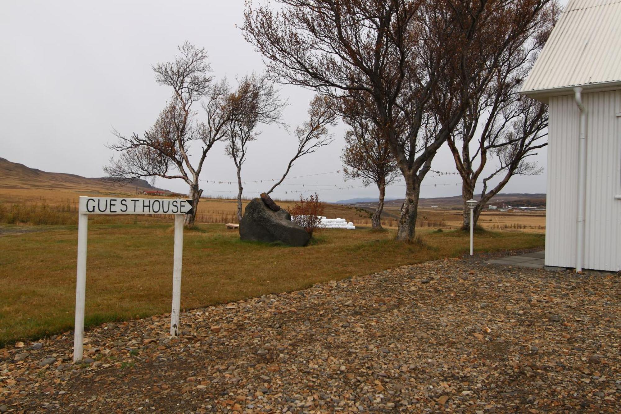 Guesthouse Steindorsstadir, West Iceland ريخولت المظهر الخارجي الصورة