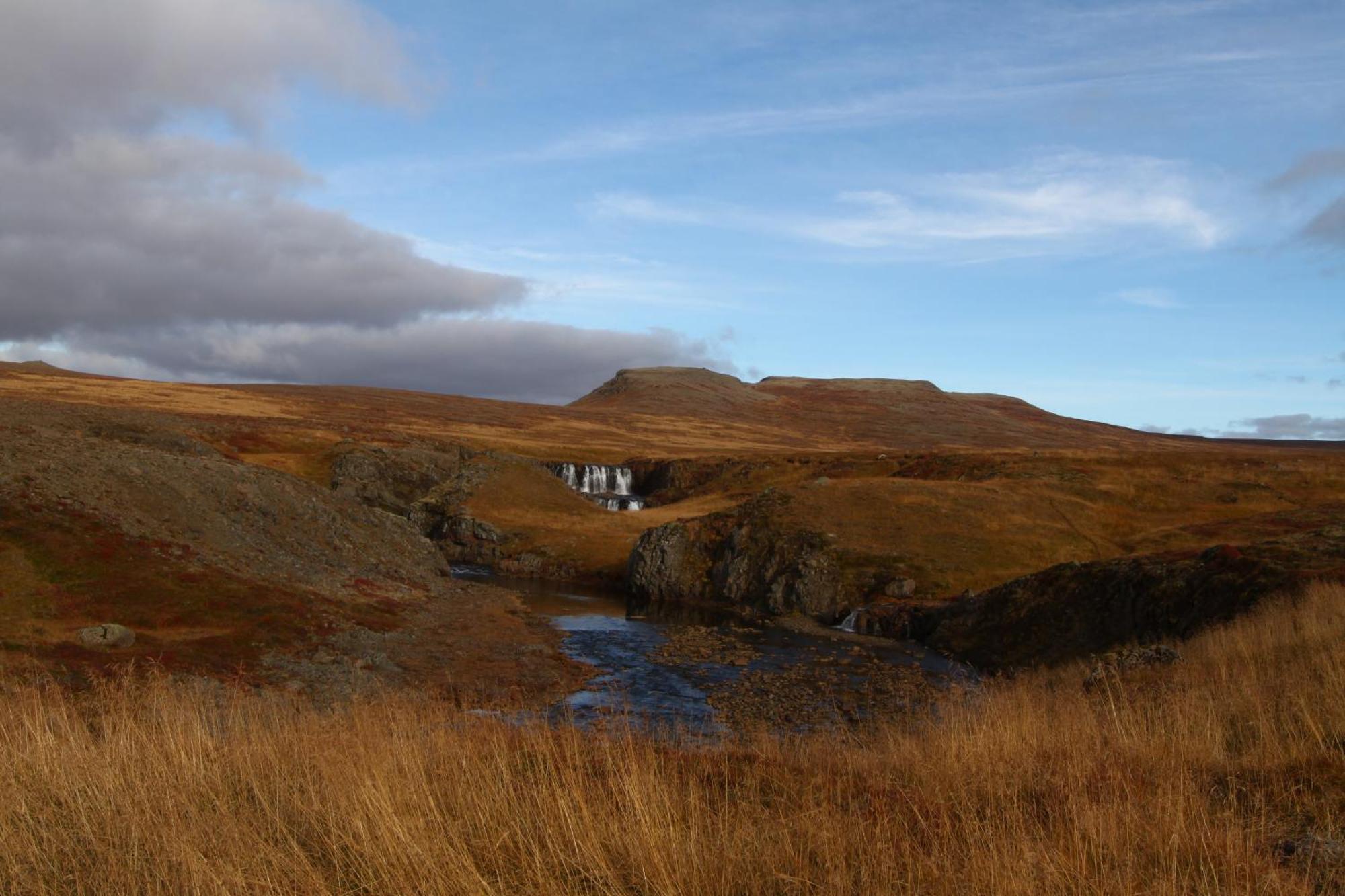 Guesthouse Steindorsstadir, West Iceland ريخولت المظهر الخارجي الصورة