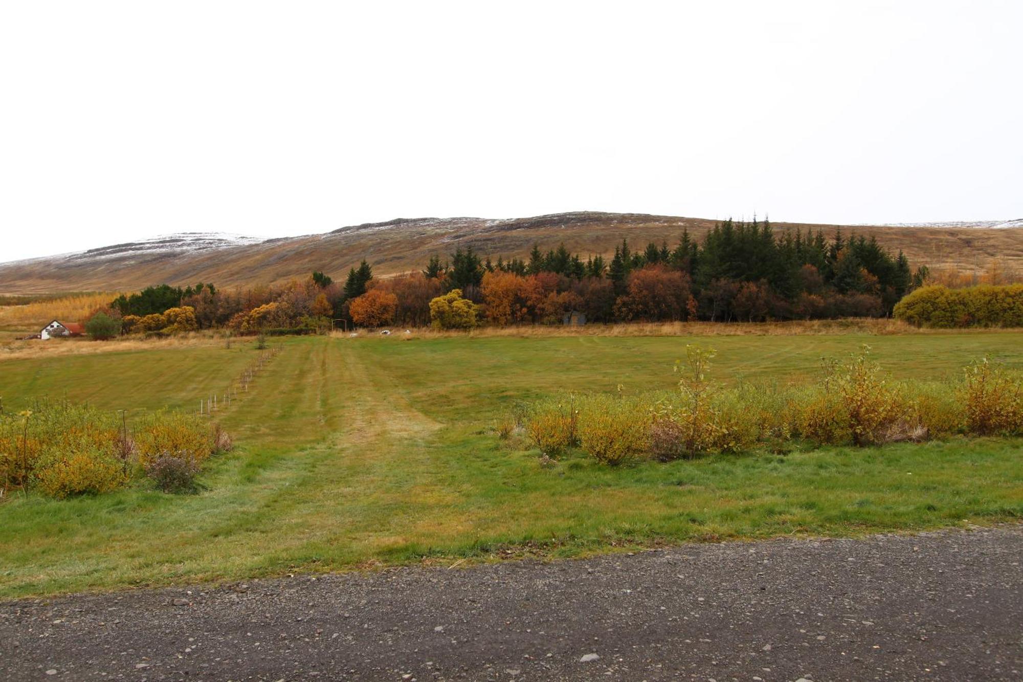 Guesthouse Steindorsstadir, West Iceland ريخولت المظهر الخارجي الصورة