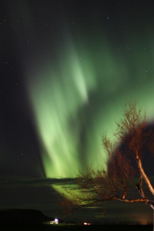 Guesthouse Steindorsstadir, West Iceland ريخولت المظهر الخارجي الصورة