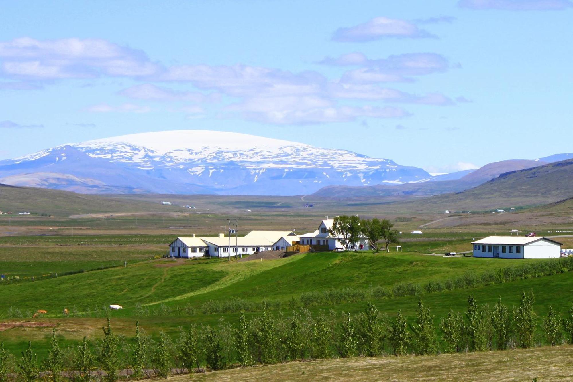 Guesthouse Steindorsstadir, West Iceland ريخولت المظهر الخارجي الصورة